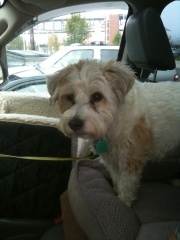 "Nash" co-owner of  Gary Southern's 1975 Dodge Dart